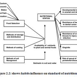 Culture and its Influence on Nutrition and Oral Health – Biomedical and ...