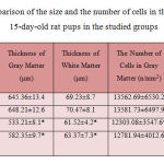 Table 1. Comparison of the size and the number of cells in the cerebellum of 15-day-old rat pups in the studied groups