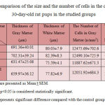 Table 2. Comparison of the size and the number of cells in the cerebellum of 30-day-old rat pups in the studied groups