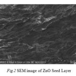 Fig.2 SEM image of ZnO Seed Layer