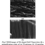 Fig.3 SEM image of Sb doped ZnO Nanowires @ a magnification scale of (a) 50 microns (b) 10 microns
