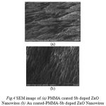 Fig.4 SEM image of (a) PMMA coated Sb doped ZnO Nanowires (b) Au coated-PMMA-Sb doped ZnO Nanowires