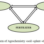 Figure1 – System of Agrochemistry «soil→plant→fertilizers».