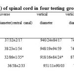 Table1: The mean parameters (± S.E) of spinal cord in four testing groups