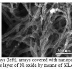 Figure 3 – SEM images of CNT arrays (left), arrays covered with nanoparticles (center) and arrays covered by continuous layer of Ni oxide by means of SILAR (method)