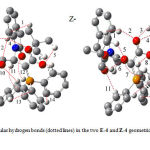 Fig. 4. Intramolecular hydrogen bonds (dotted lines) in the two E-4 and Z-4 geometrical isomers of stable ylide 4