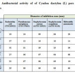 Table 3 : Antibacterial activity of of Cyndon dactylon (L) pers with some antibiotics