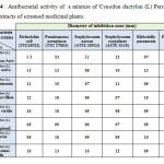 Table-4 : Antibacterial activity of a mixture of Cynodon dactylon (L) Pers and the other extracts of screened medicinal plants.