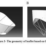 Figure 3: The geometry of leaflet based on Catia.