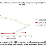 Figure 1: The mean content of Cr (III) ( mg/kg ) in plarganium grandiflorum leaves and root parts and studied soil samples after treatment during 60 days.
