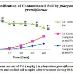 Figure 3: The mean content of Cd ( mg/kg ) in plarganium grandiflorum leaves and root parts and studied soil samples after treatment during 60 days.