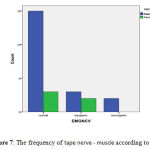 Figure 7: The frequency of tape nerve - muscle according to sex