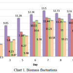 Chart 1: Biomass fluctuations