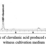 Chart 8: HPLC curve of clavulanic acid produced over 8 days using the witness cultivation medium