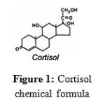 Figure 1: Cortisol chemical formula