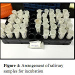 Figure 4: Arrangement of salivary samples for incubation