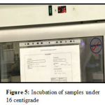 Figure 5: Incubation of samples under 16 centigrade