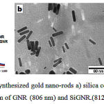 Figure 1: TEM micrograph of synthesized gold nano-rods a) silica coated gold nano-rods b) UV/Vis spectrum of GNR (806 nm) and SiGNR.(812 nm).