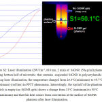 Figure S2: Laser illumination (2W/Cm-2, 810 nm, 2 min) of SiGNR (50µg/ml) phantom, showing bottom half of microtube that contains suspended SiGNR in polyacrylamide gels. During laser illumination, the temperature changed from 24.4°C(minimum) to 49.7°C (maximum) (red line) in PPTT phenomena. Interestingly, the top half of the phantom which is empty (no SiGNR gels) shows a change from 31°C (minimum) to 50°C (maximum) and that this heat comes from convention at the surface of SiGNR phantom after laser illumination.
