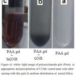 Figure s3: while- light image of polyacrylamide gels (PAA) a) aggregation and precipitation of CTAB coated nano rods after mixing with this gels b) uniform distribution of mixed Silica coated GNR with PAA gel c)
