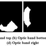 Figure 7: (a) Optic band top (b) Optic band bottom (c) Optic band left (d) Optic band right