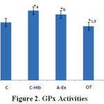 Figure 2: GPx Activities