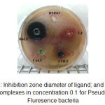 Figure 3: Inhibition zone diameter of ligand; and its metal complexes in concentration 0.1 for Pseudo Fluresence bacteria