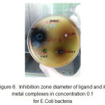 Figure 6: Inhibition zone diameter of ligand and its metal complexes in concentration 0.1 for E.Coli bacteria