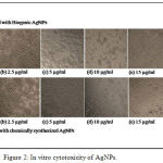 Figure 2: In vitro cytotoxicity of AgNPs.