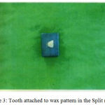 Figure 3: Tooth attached to wax pattern in the Split mould