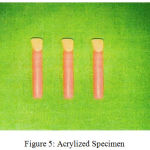 Figure 5: Acrylized Specimen