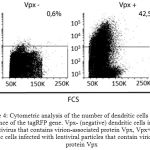 Figure 4: Cytometric analysis of the number of dendritic cells expressing a sequence of the tagRFP gene. Vpx- (negative) dendritic cells infected with a lentivirus that contains virion-associated protein Vpx, Vpx+ (positive) dendritic cells infected with lentiviral particles that contain virion-associated protein Vpx
