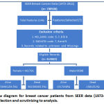 Figure 1: Flow diagram for breast cancer patients from SEER data (1972-2012) and its process for selection and scrutinizing to analysis.