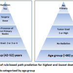 Figure 2: Illustration of rule based path prediction for highest and lowest death rate among female breast cancer patients categorized by age group