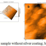 Figure 2: AFM analysis. a) A sample without silver coating; b) a sample with silver coating.