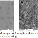 Figure 3: SEM images. a) A sample without silver coating; b) a surface with silver coating.