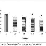 Figure 4: Population of spermatocyte-I pachytene