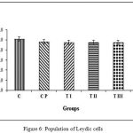 Figure 6: Population of Leydic cells