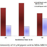Figure 4: Cytotoxicity of 10 µM piperic acid in MDA-MB231 and MNCs