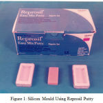 Figure 1: Silicon Mould Using Reprosil Putty
