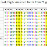 Table 1: EPIYA motifs of CagA virulence factor from H. pylori Bali isolates
