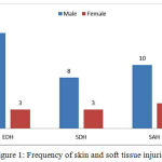 Figure 1: Frequency of skin and soft tissue injuries