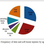 Figure 3: Frequency of skin and soft tissue injuries by age groups