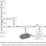 Figure 1: Proposed mechanisms by which heated vegetable oil, via the alteration in fatty acids composition, lipid peroxidation product and/or oxidative stress and excess of FFA may induces dyslipidemia.