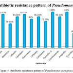 Figure 4: Antibiotic resistance pattern of Pseudomonas aeruginosa