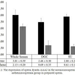 Figure 2: The expression of sperm dynein AAA2 in the normoozoospermia and asthenozoospermia group in prepared sperm.
