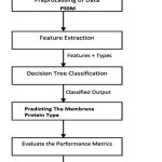 Figure 4: The work flow diagram of the DT method posed method we use the dataset S1(2935 proteins) used for classification.