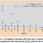 Figure 3: Correlation between p53 and Bcl-2 expression in squamous cell carcinoma of the uterine cervix.