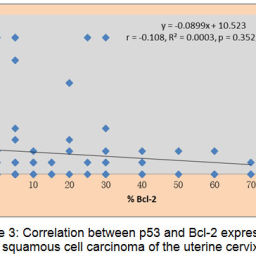 Immunohistochemical Expression of p53 and Bcl-2 in Algerian Cervical ...