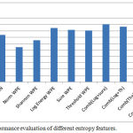 Figure 1: Performance evaluation of different entropy features.